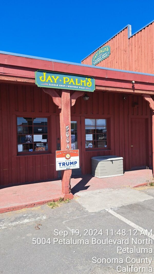 New Californian's for Trump Yard Signs - Image 7