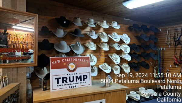 New Californian's for Trump Yard Signs - Image 2