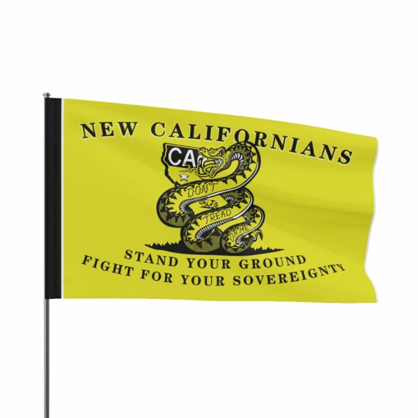 State of New California Tribute to the Founding fathers House banner Flag non Grommet flag - Image 3