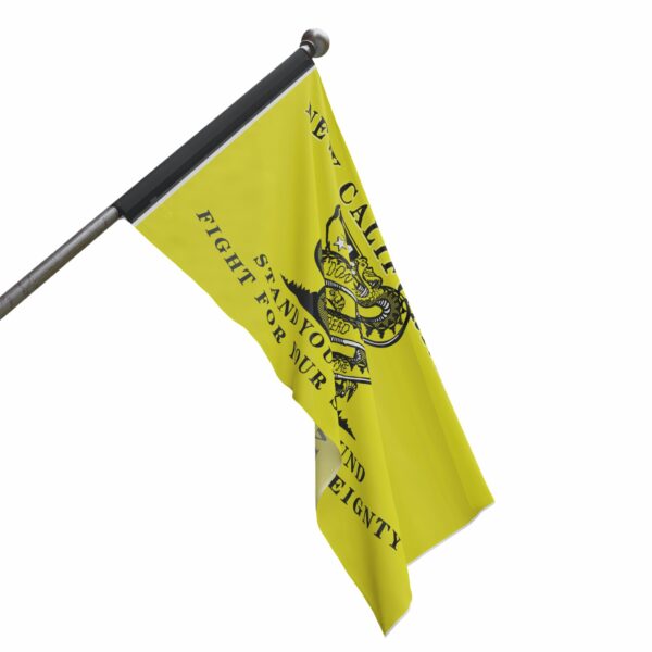 State of New California Tribute to the Founding fathers House banner Flag non Grommet flag - Image 4